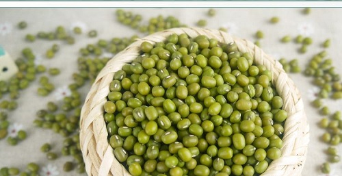 天津港绿豆进口代理公司 天津港绿豆进口代理公司