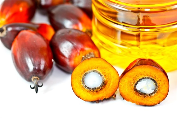 马来西亚棕榈油进口代理报关公司