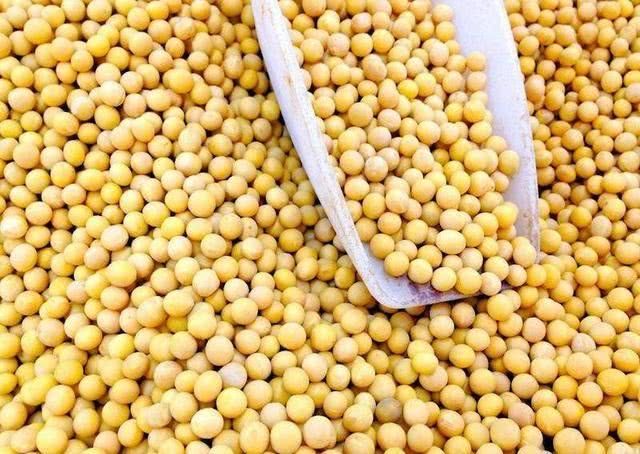 大豆进口代理清关公司 大豆进口代理清关公司