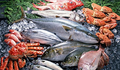 越南巴沙鱼进口代理报关公司