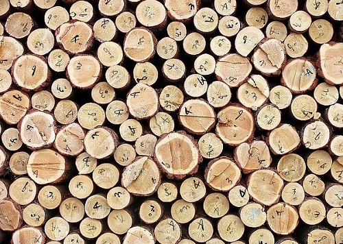 青岛港进口加拿大木材代理公司