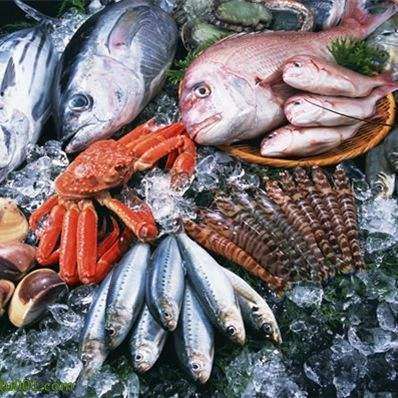 挪威三文鱼进口清关公司