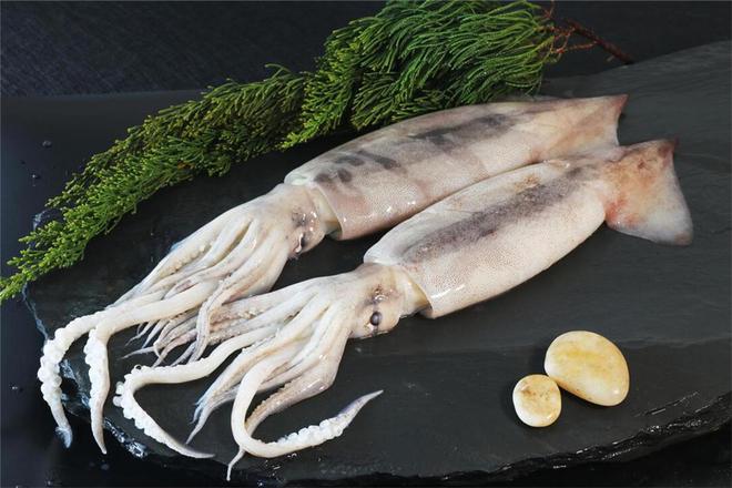 鱿鱼 (1) 鱿鱼 (1)