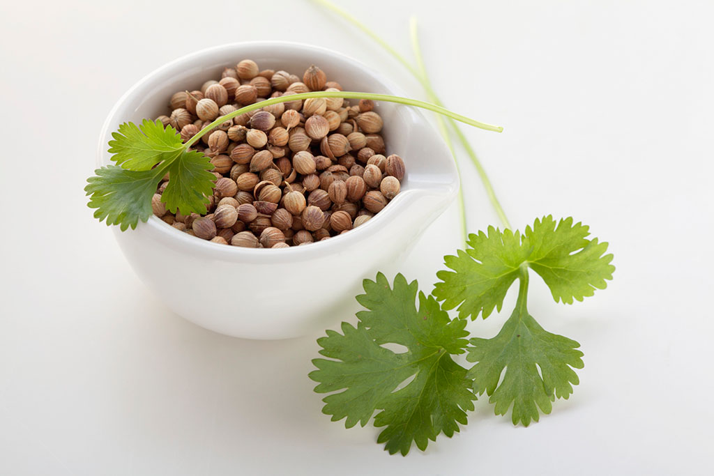 芫荽子 (1) 芫荽子 (1)