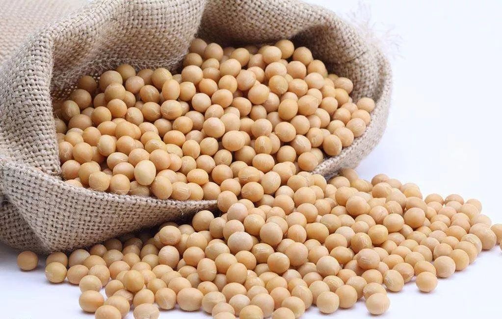 大豆 大豆