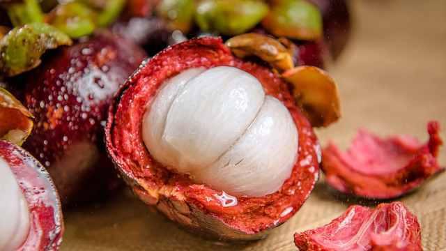 山竹 (2) 山竹 (2)