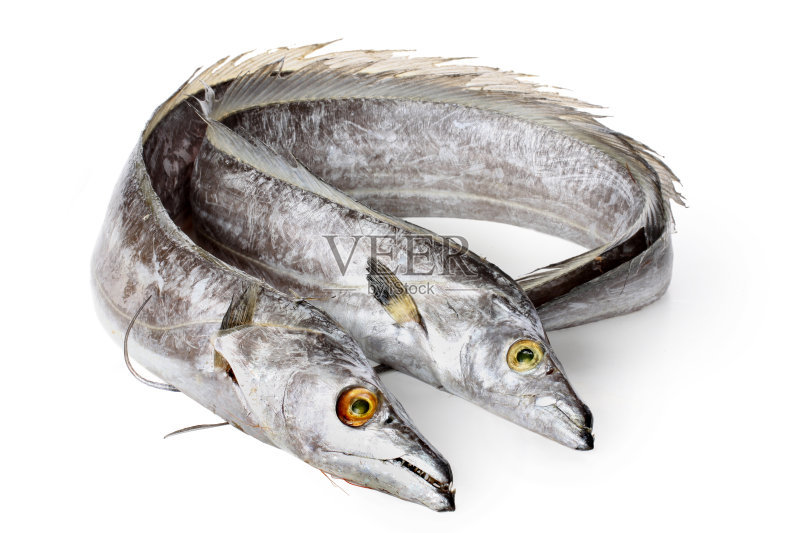 带鱼 (1) 带鱼 (1)