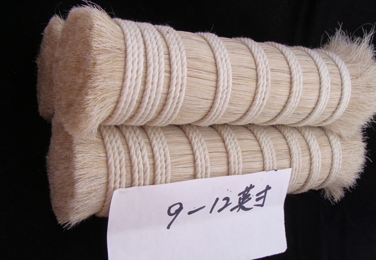 马尾毛 (1) 马尾毛 (1)