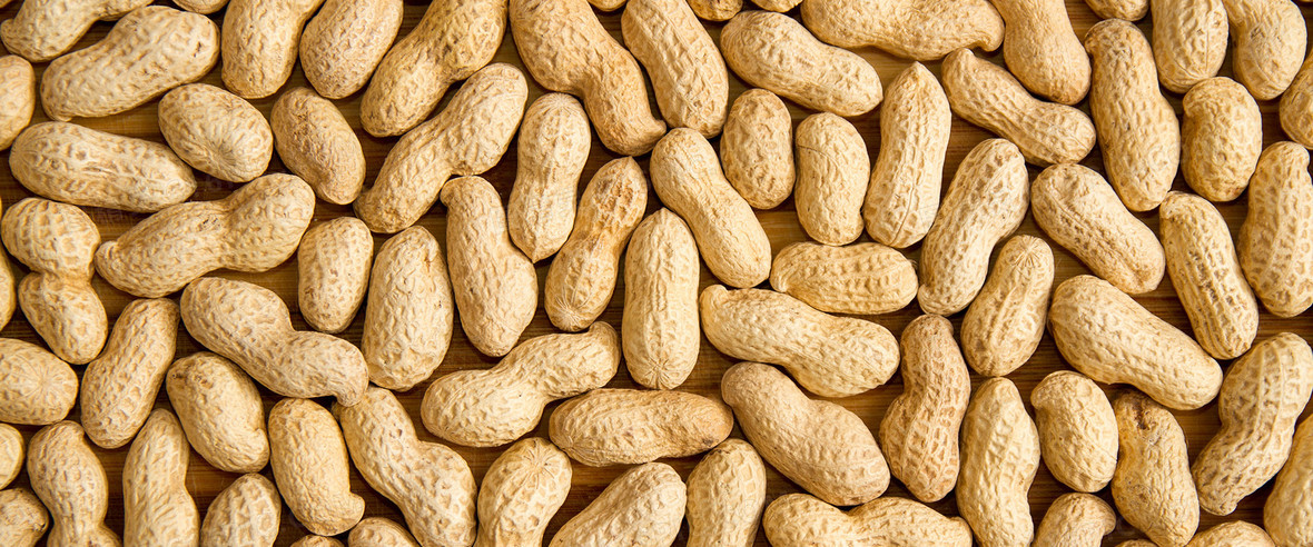 花生 花生