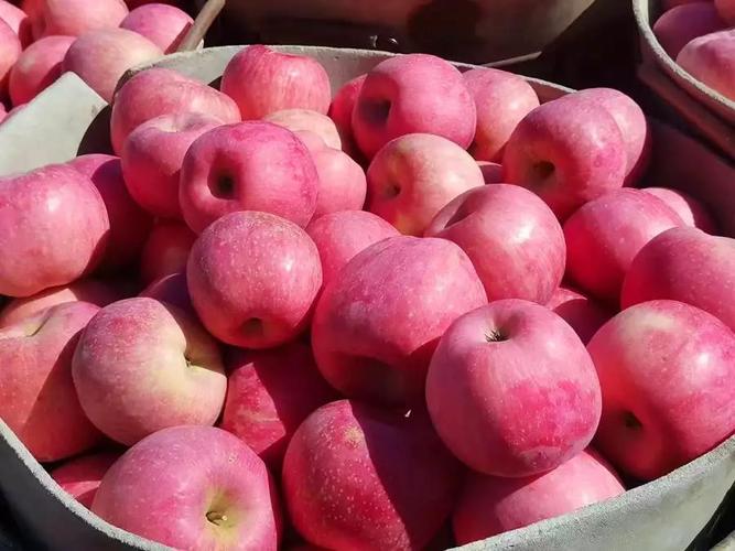 苹果 (2) 苹果 (2)