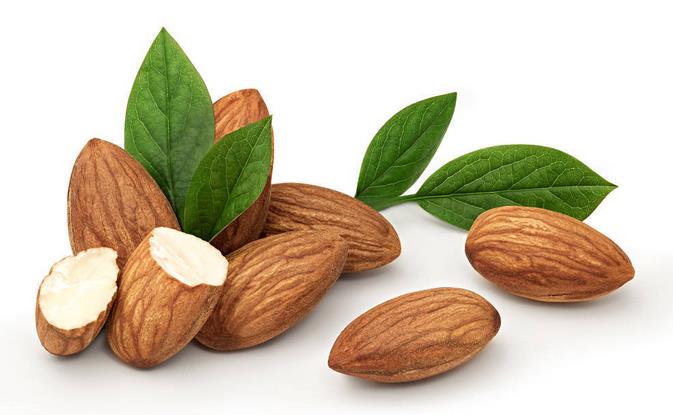 杏仁 (2) 杏仁 (2)