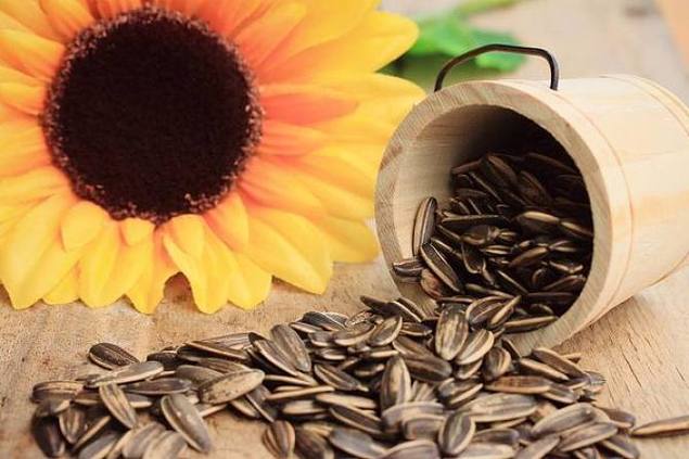葵花籽 (3) 葵花籽 (3)