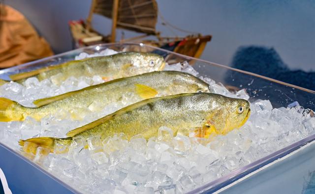 大黄鱼 (1) 大黄鱼 (1)