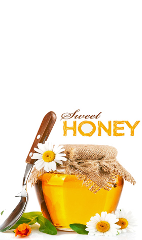 蜂蜜代理进口